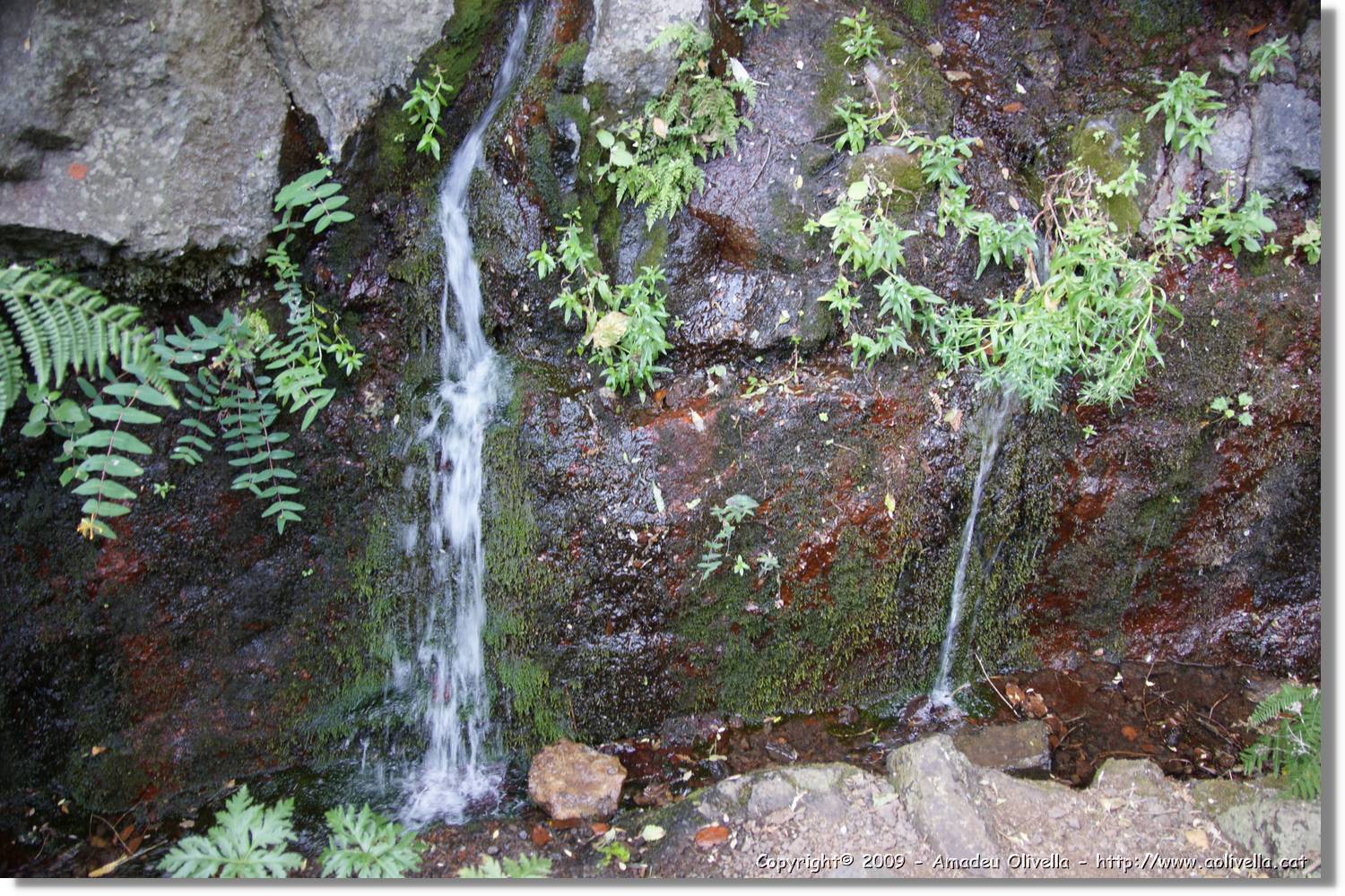 Nacientes_124.jpg