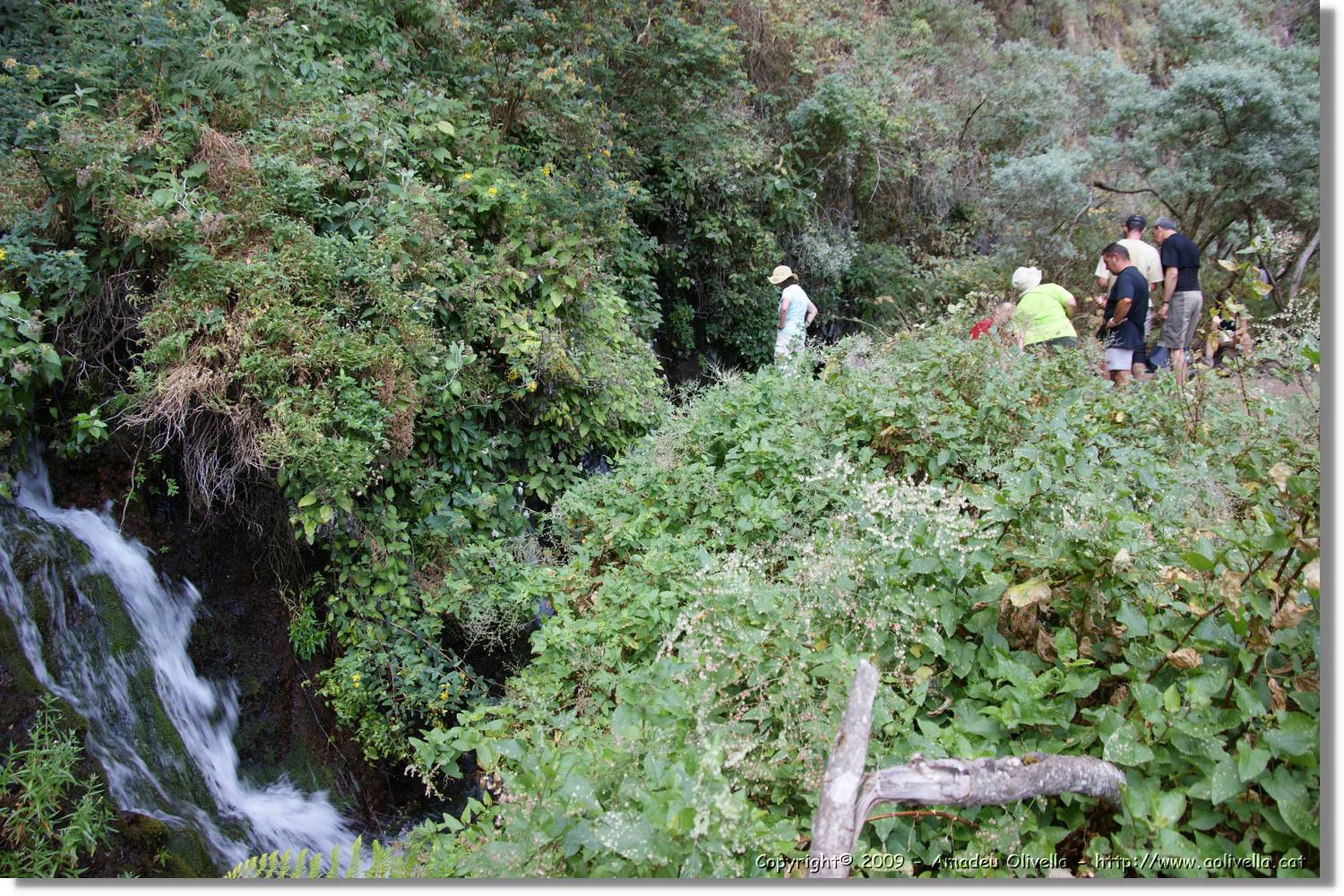 Nacientes_126.jpg