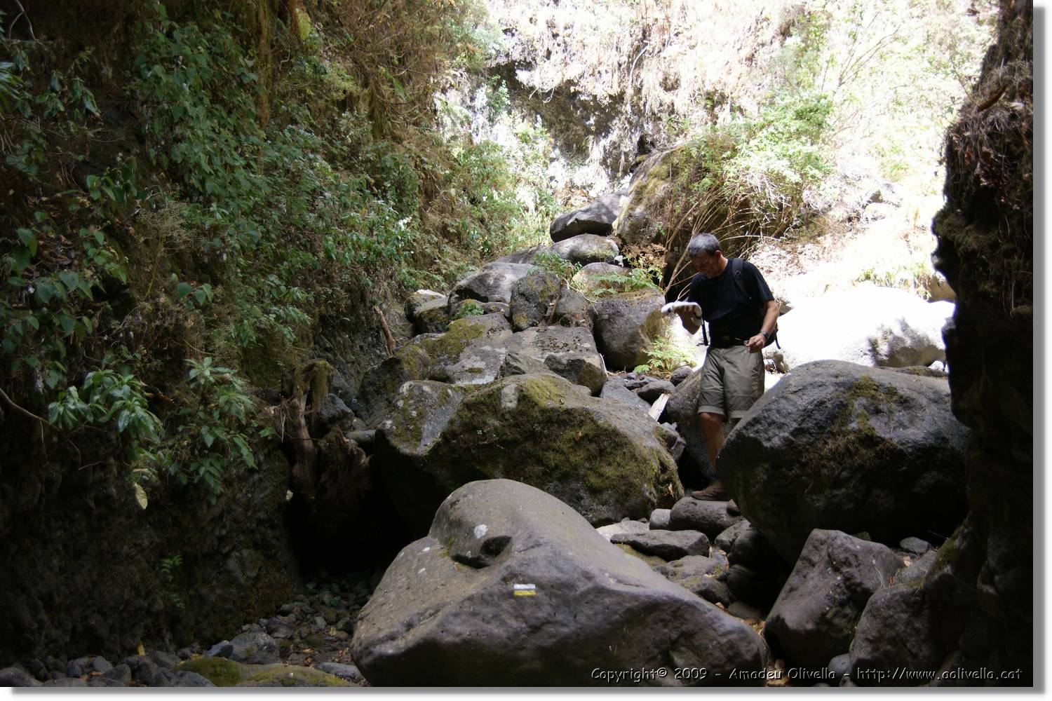 Nacientes_145.jpg