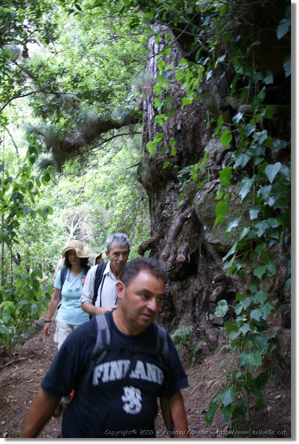 Nacientes_165.jpg
