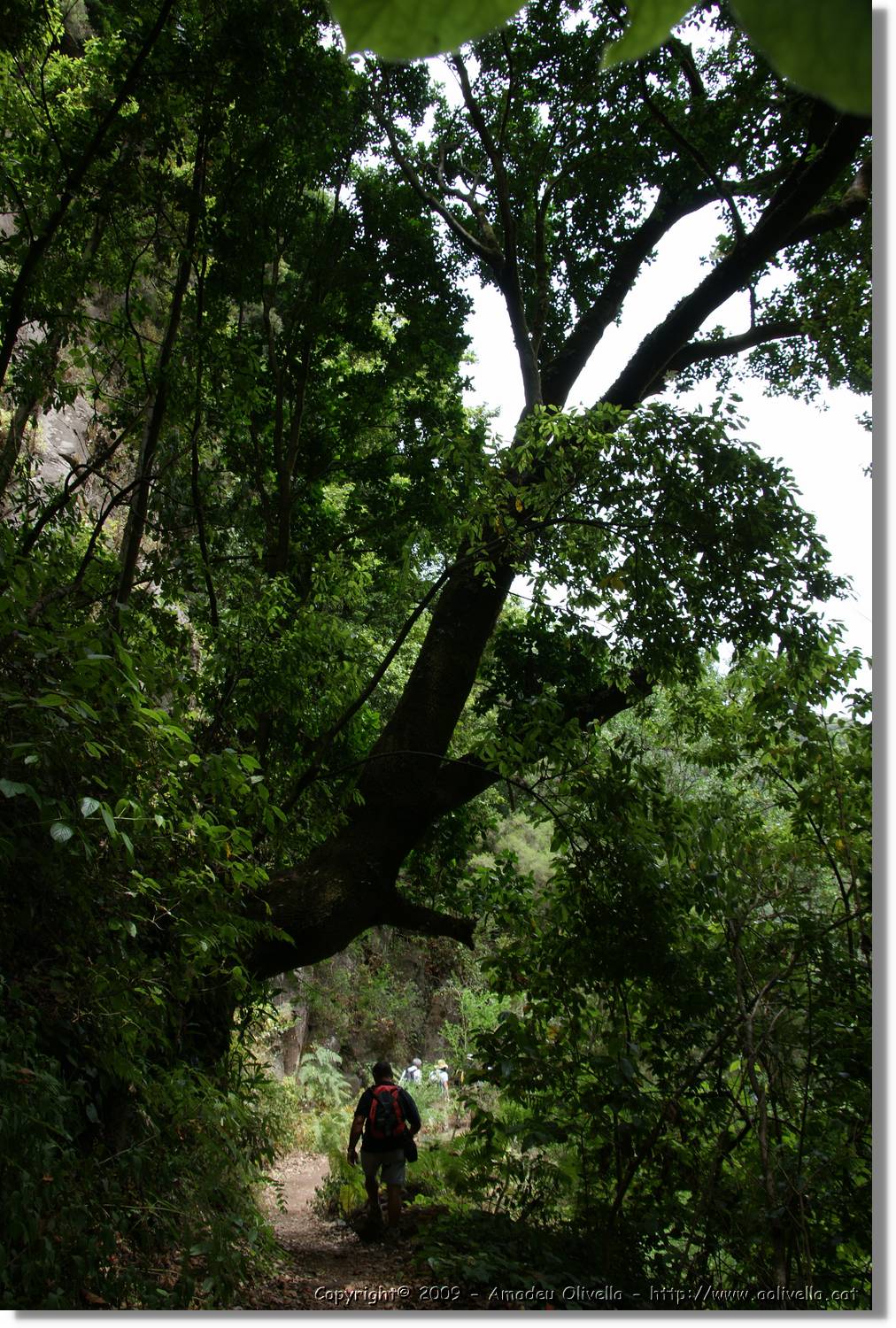 Nacientes_170.jpg