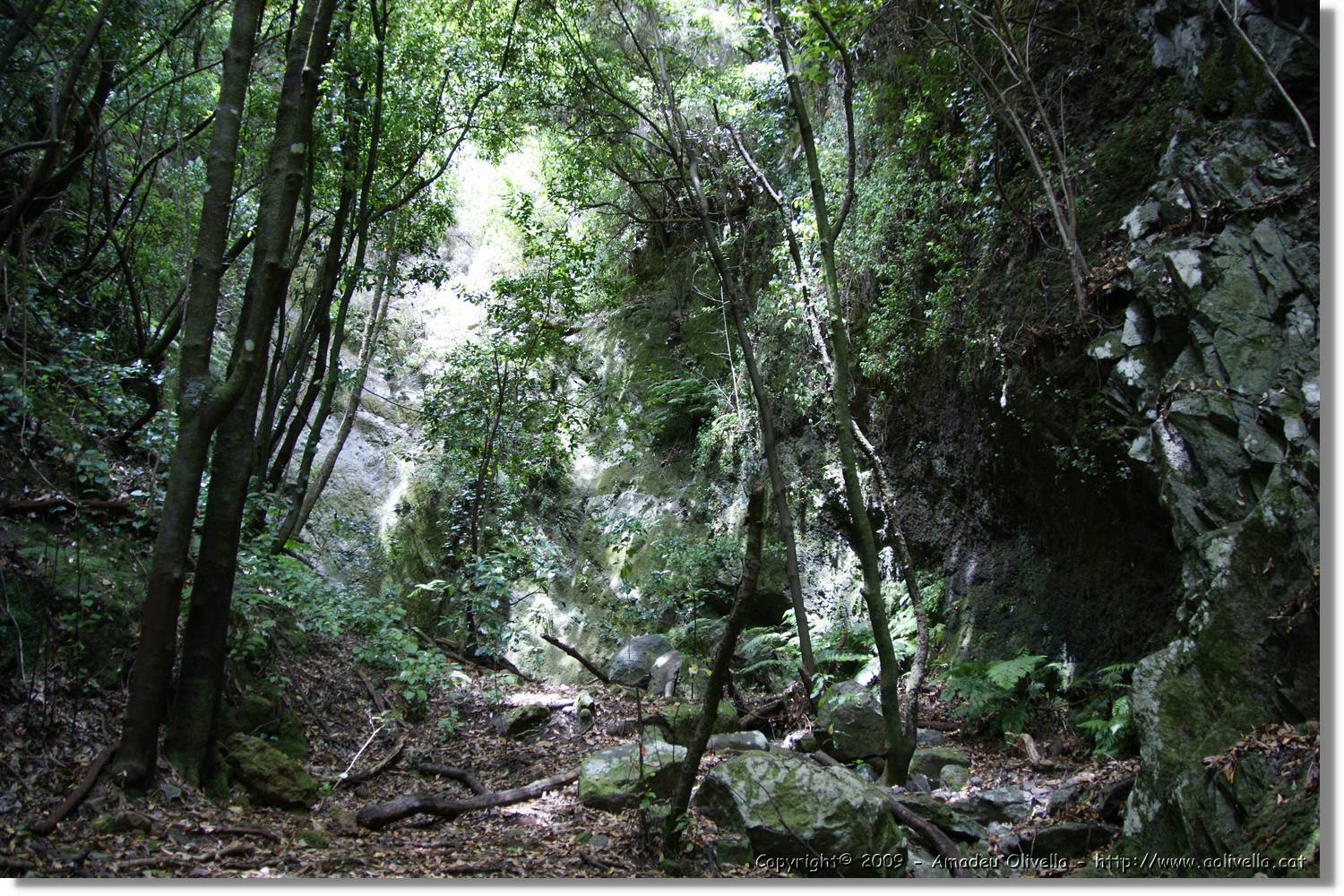 Nacientes_173.jpg