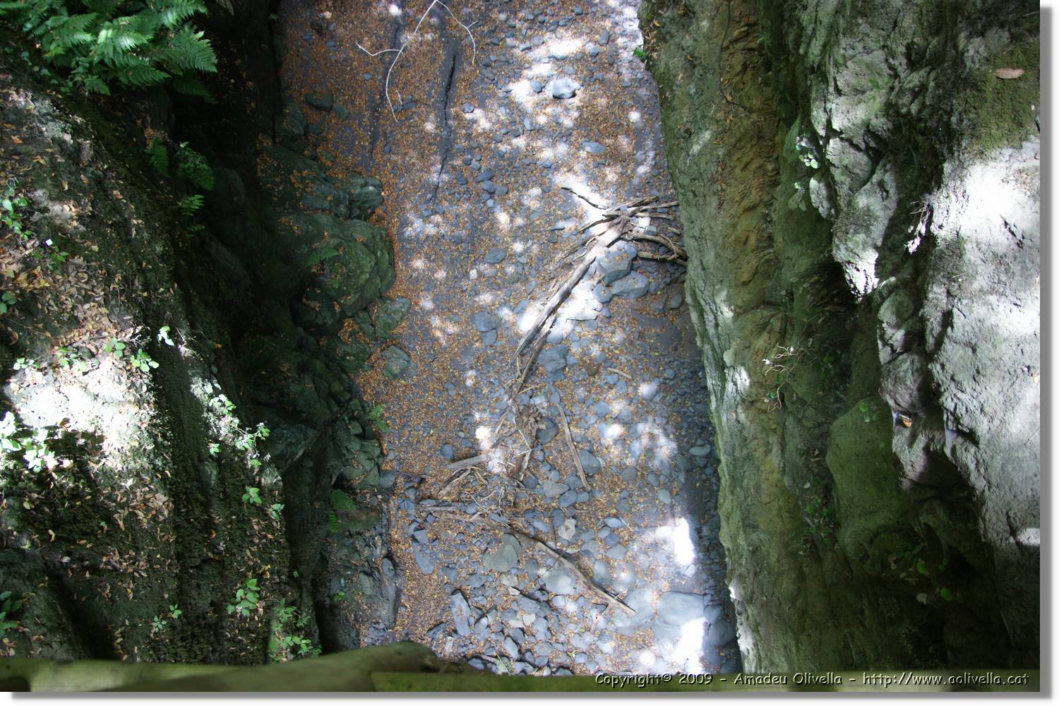 Nacientes_177.jpg