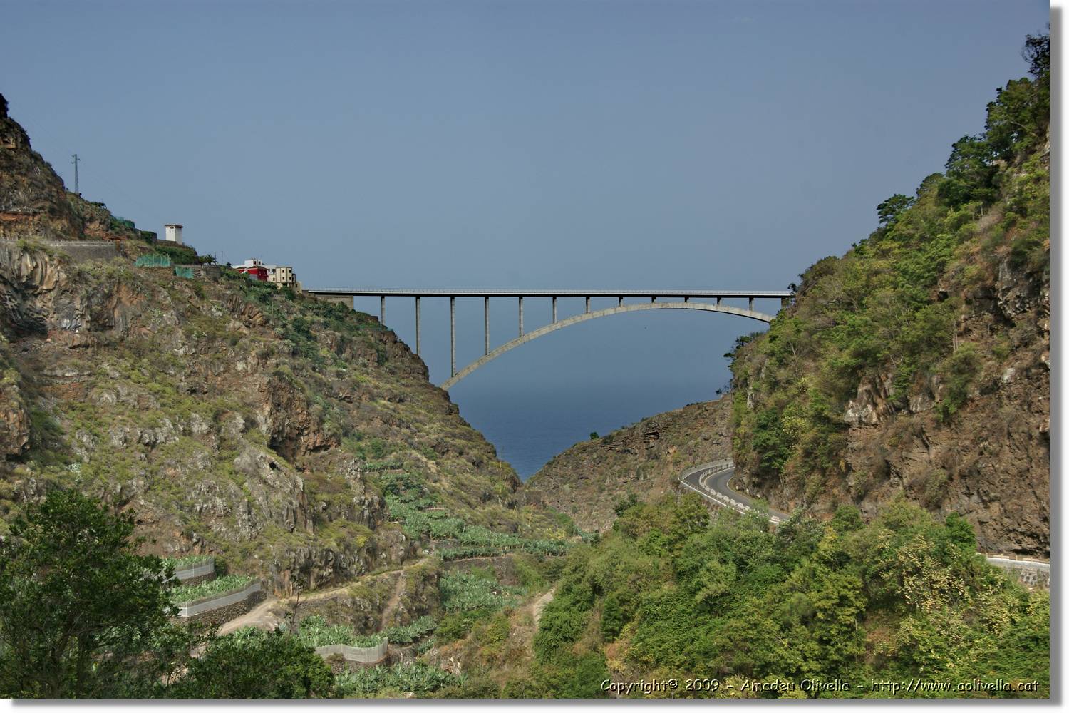 Nacientes_235.jpg