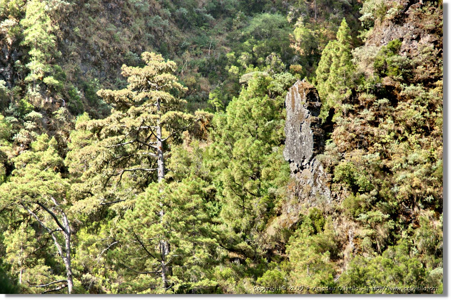 Nacientes_253.jpg