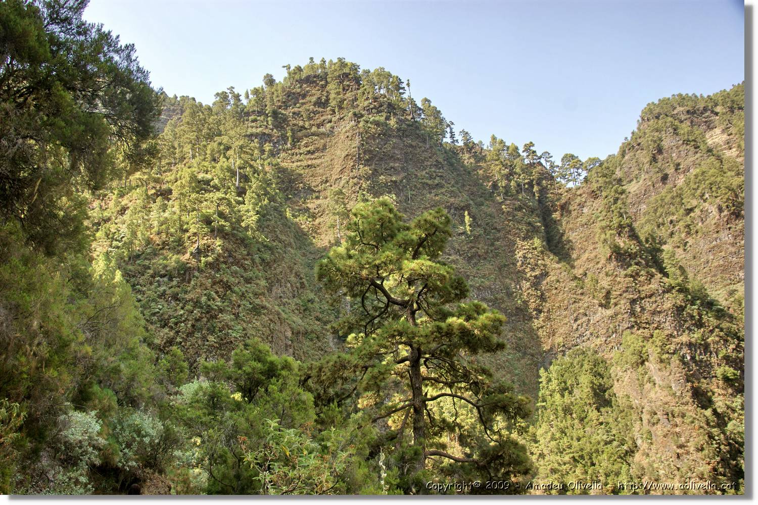 Nacientes_267.jpg