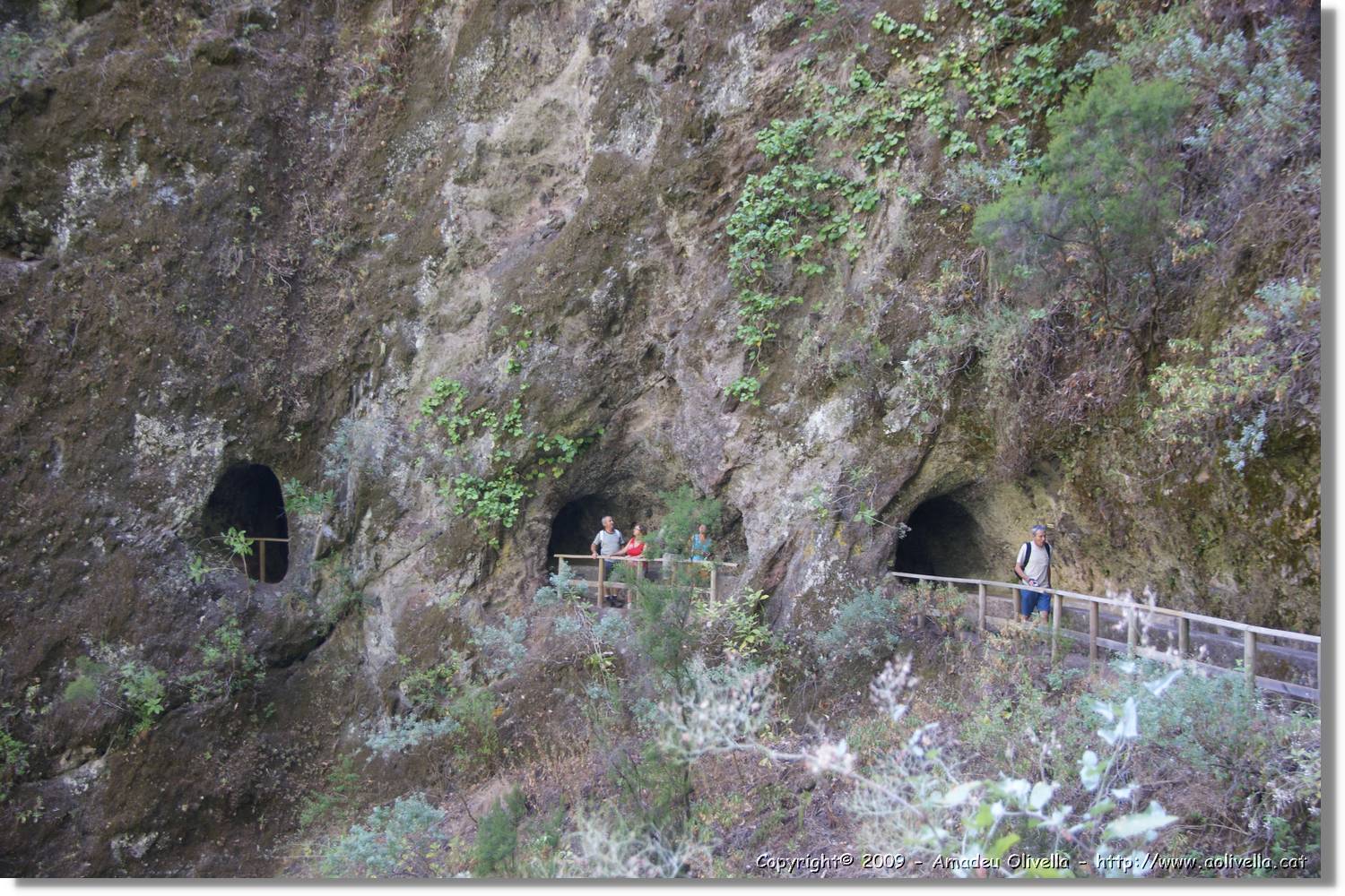 Nacientes_278.jpg