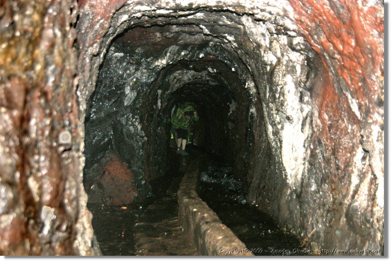 Nacientes_286.jpg