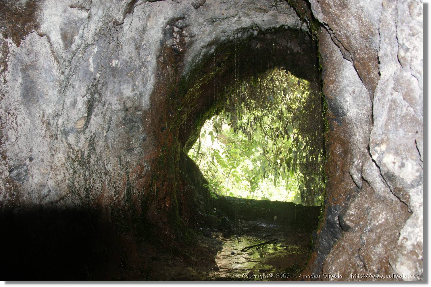 Nacientes_291.jpg