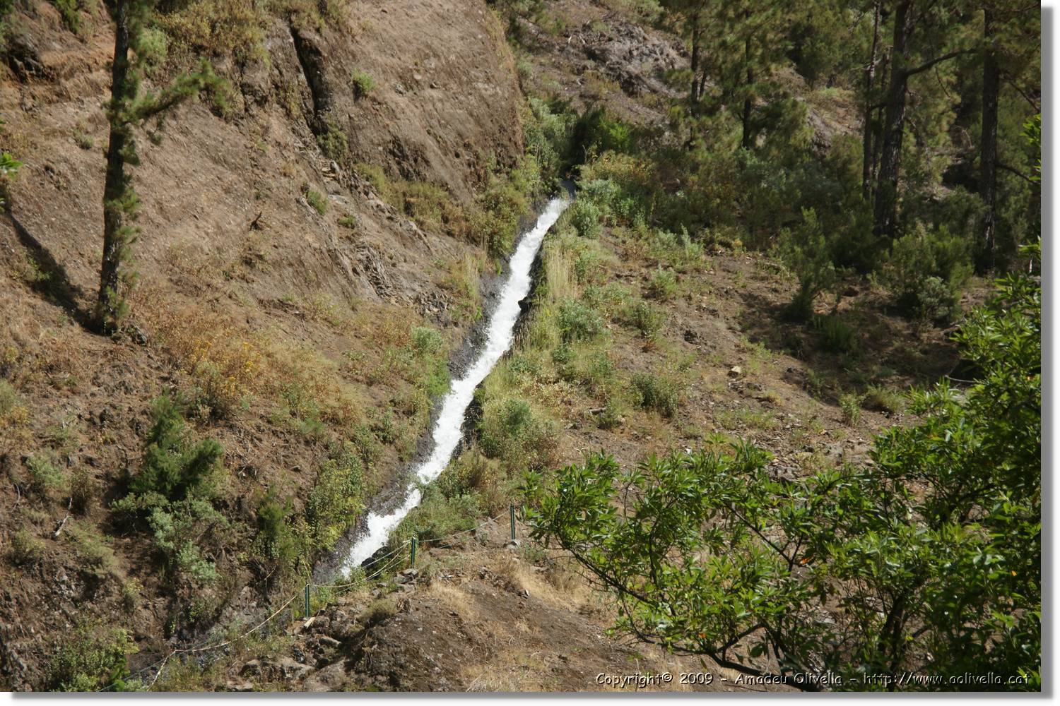 Nacientes_294.jpg