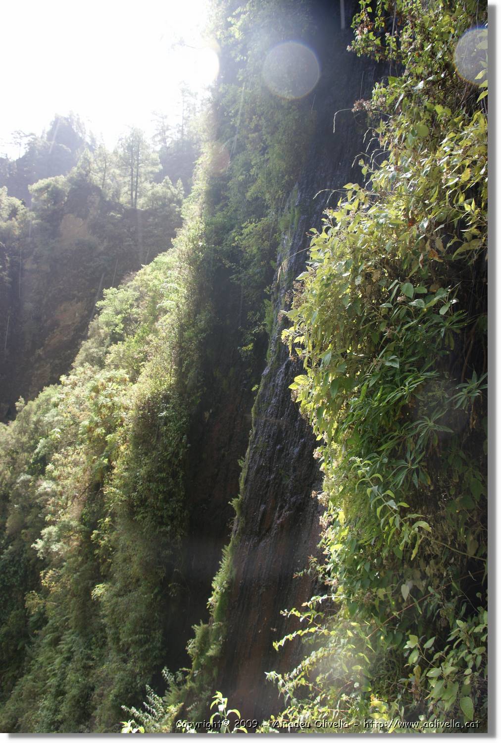 Nacientes_295.jpg