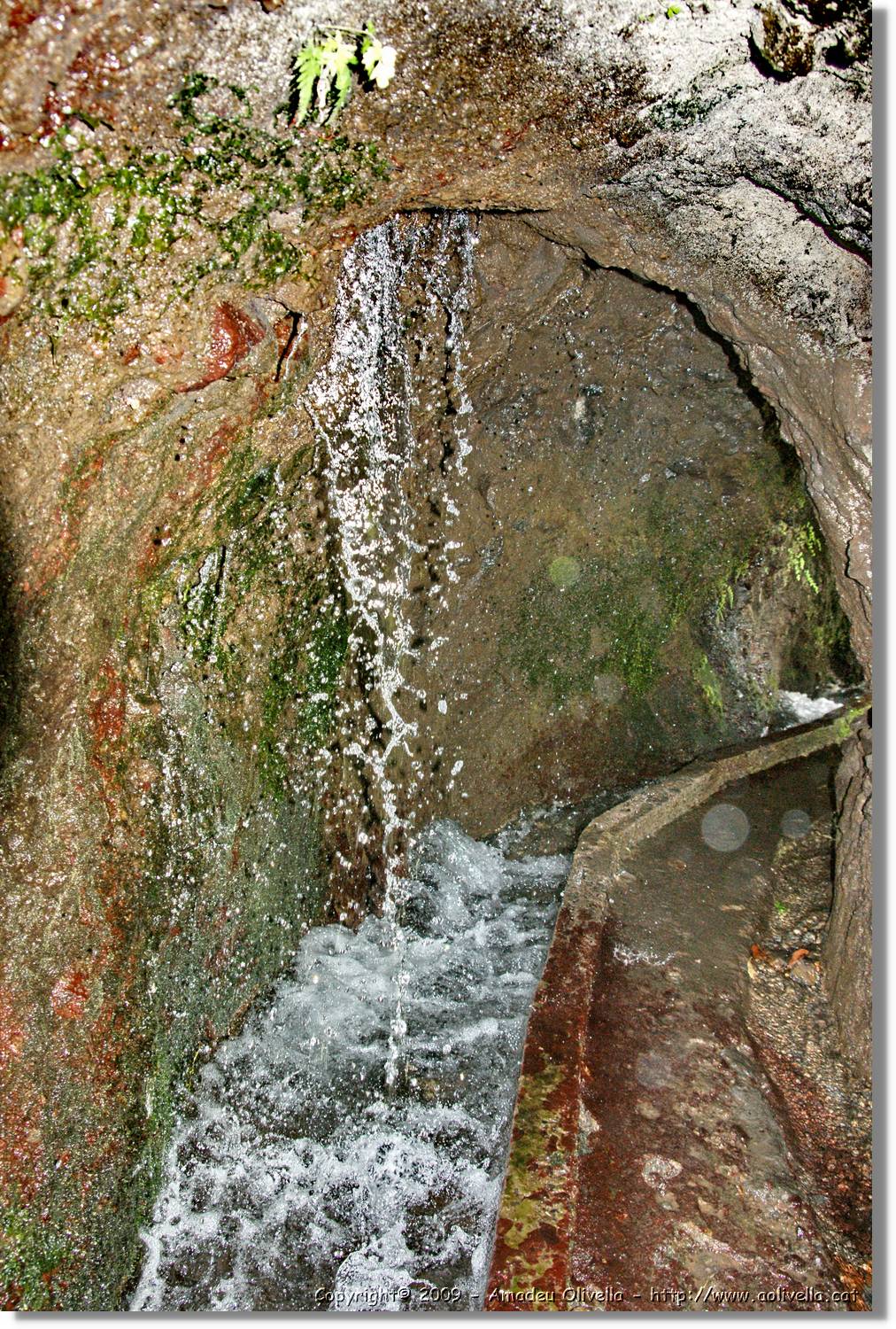 Nacientes_307.jpg
