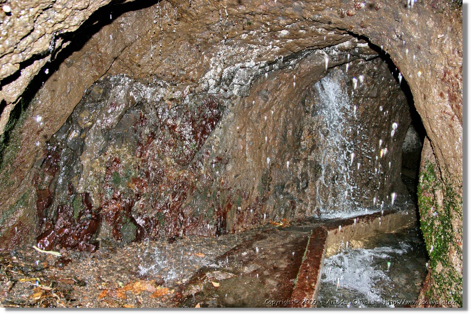 Nacientes_308.jpg