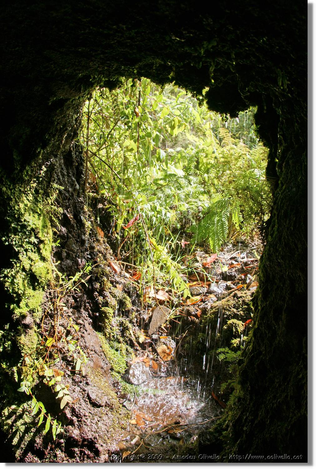 Nacientes_309.jpg