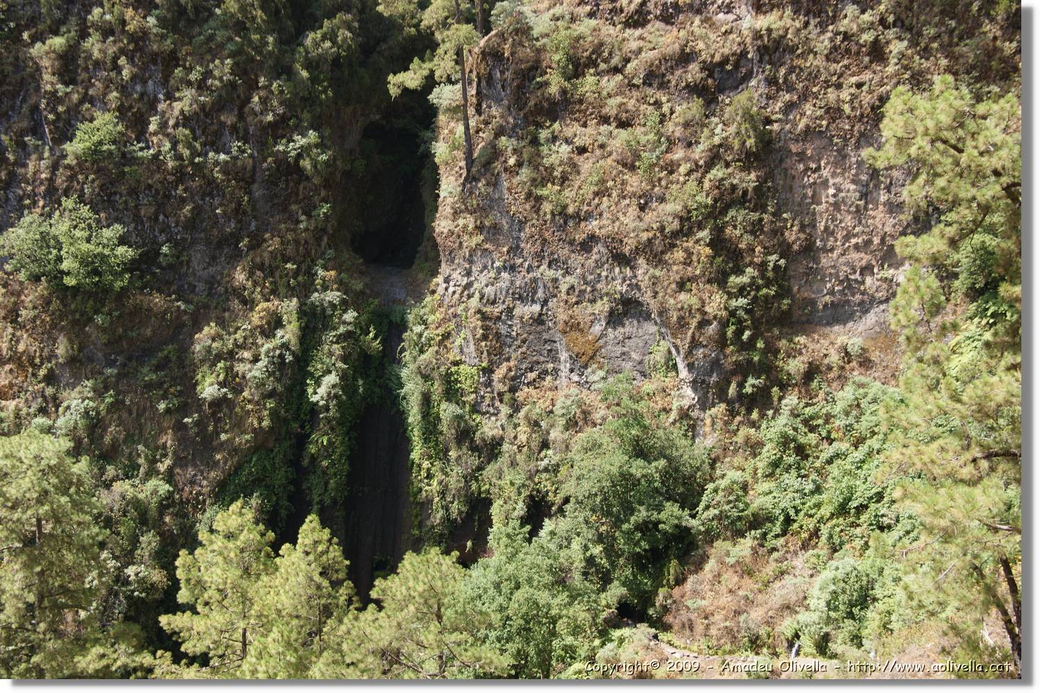 Nacientes_324.jpg