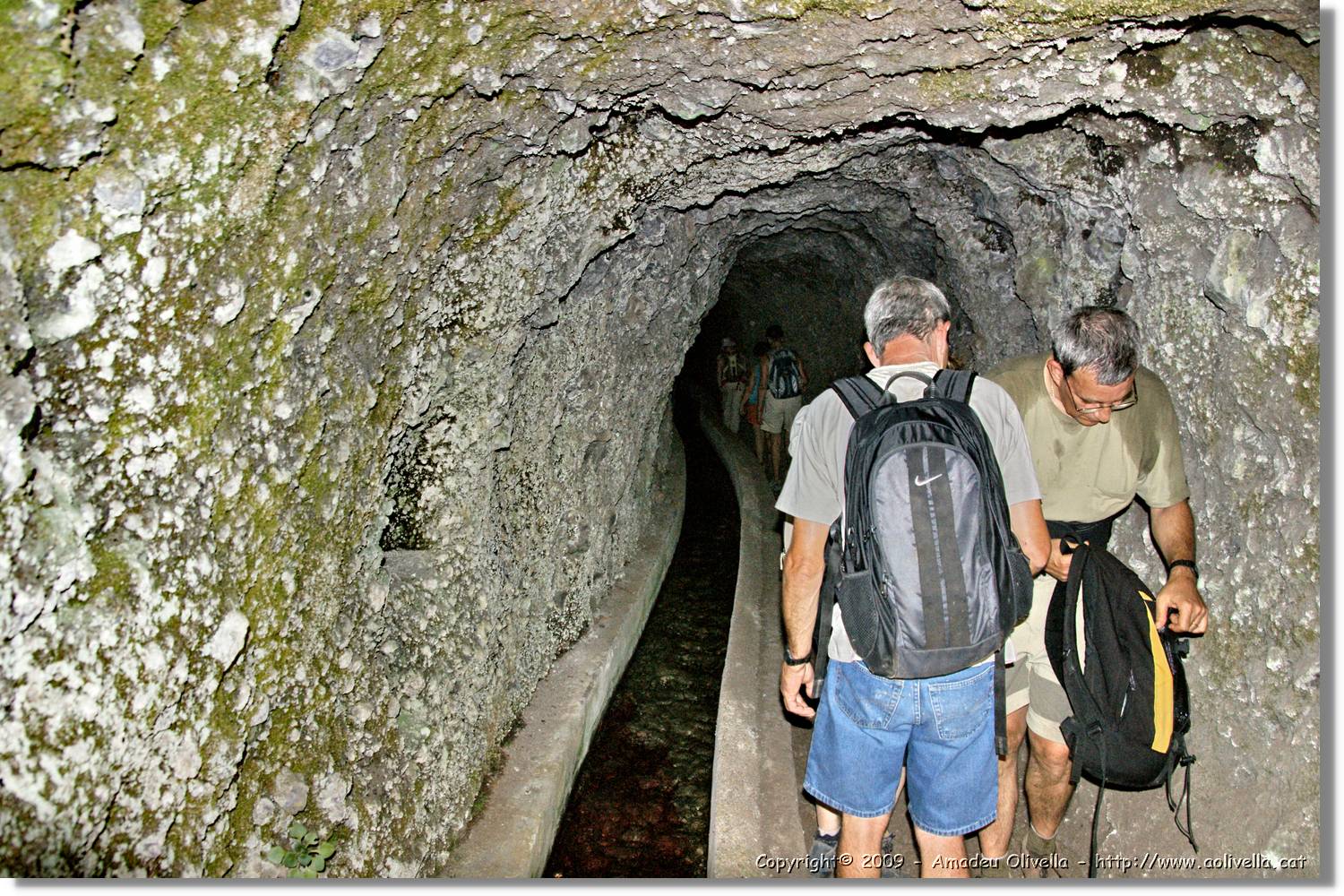 Nacientes_325.jpg