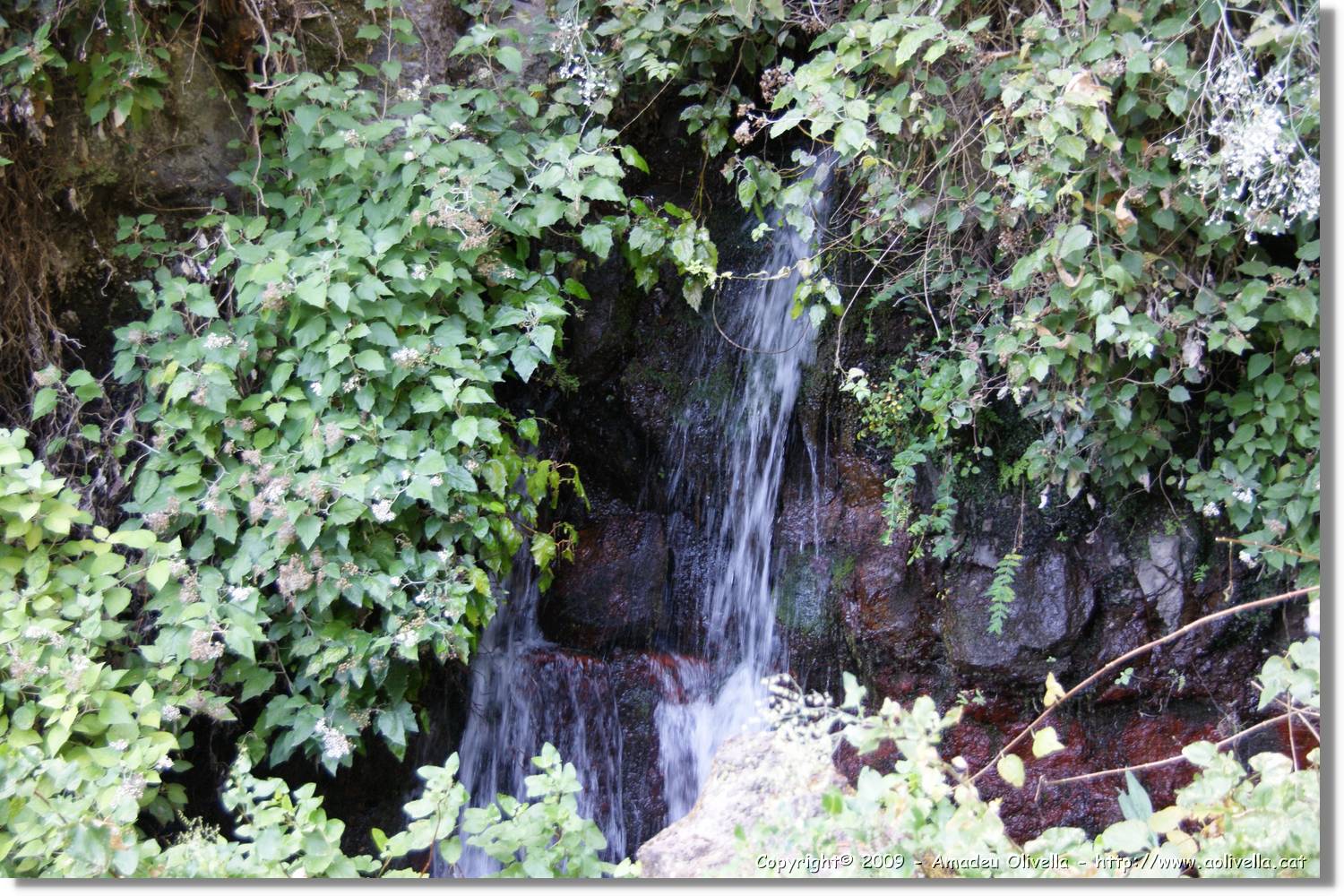Nacientes_332.jpg