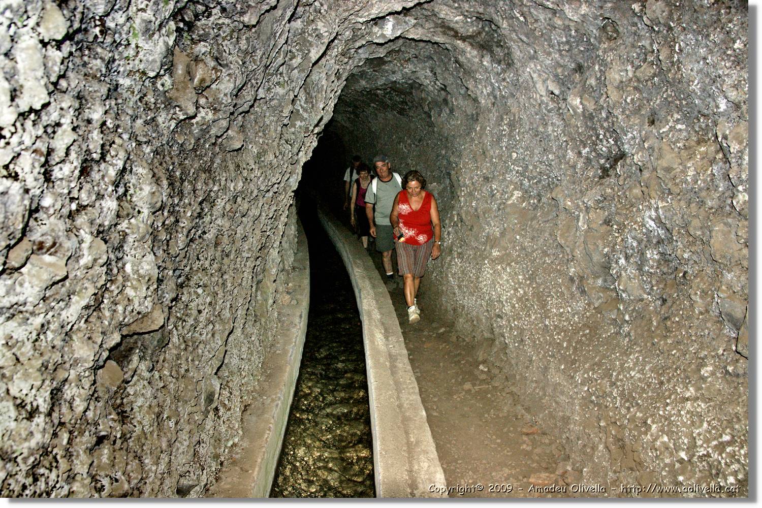 Nacientes_337.jpg