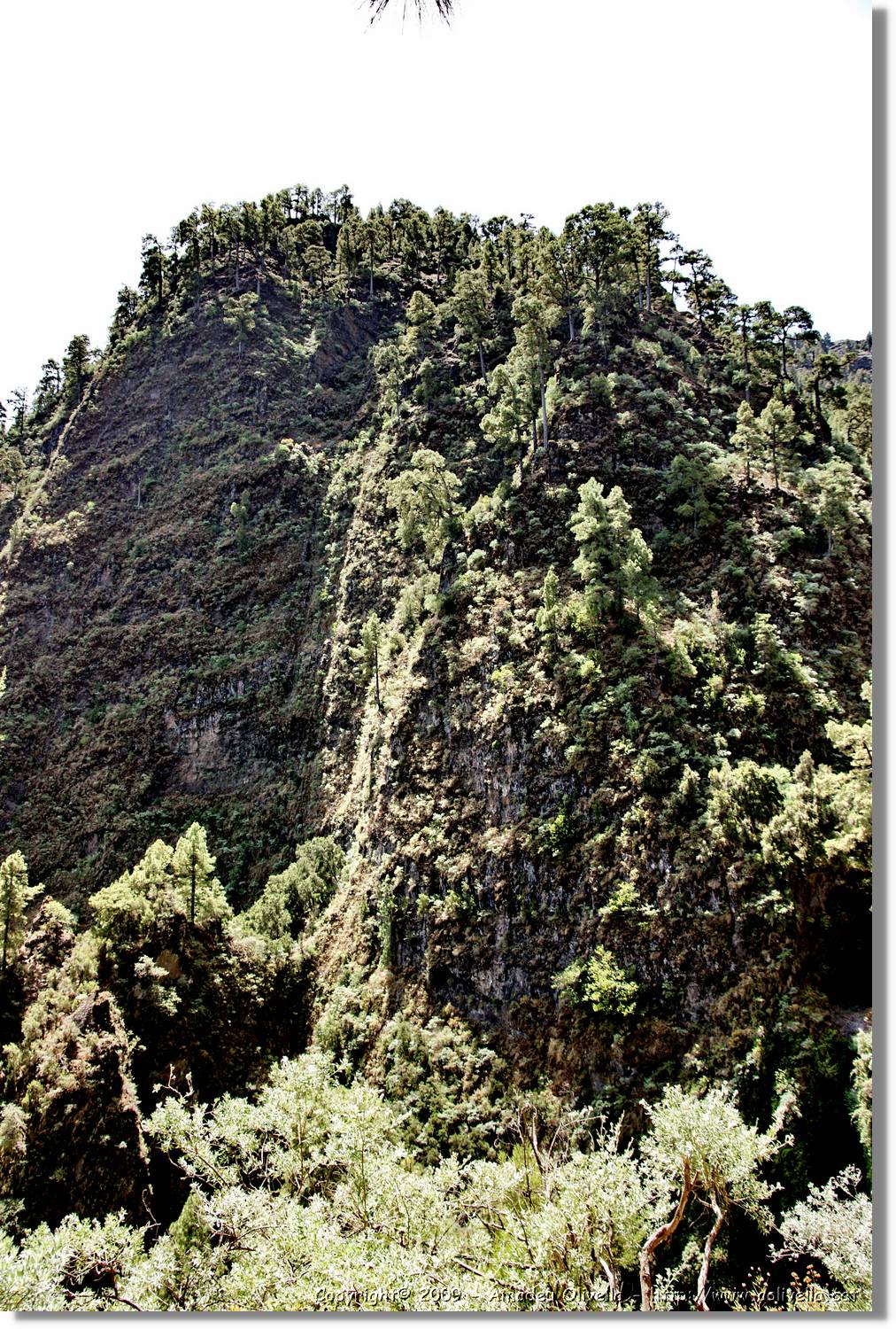 Nacientes_339.jpg