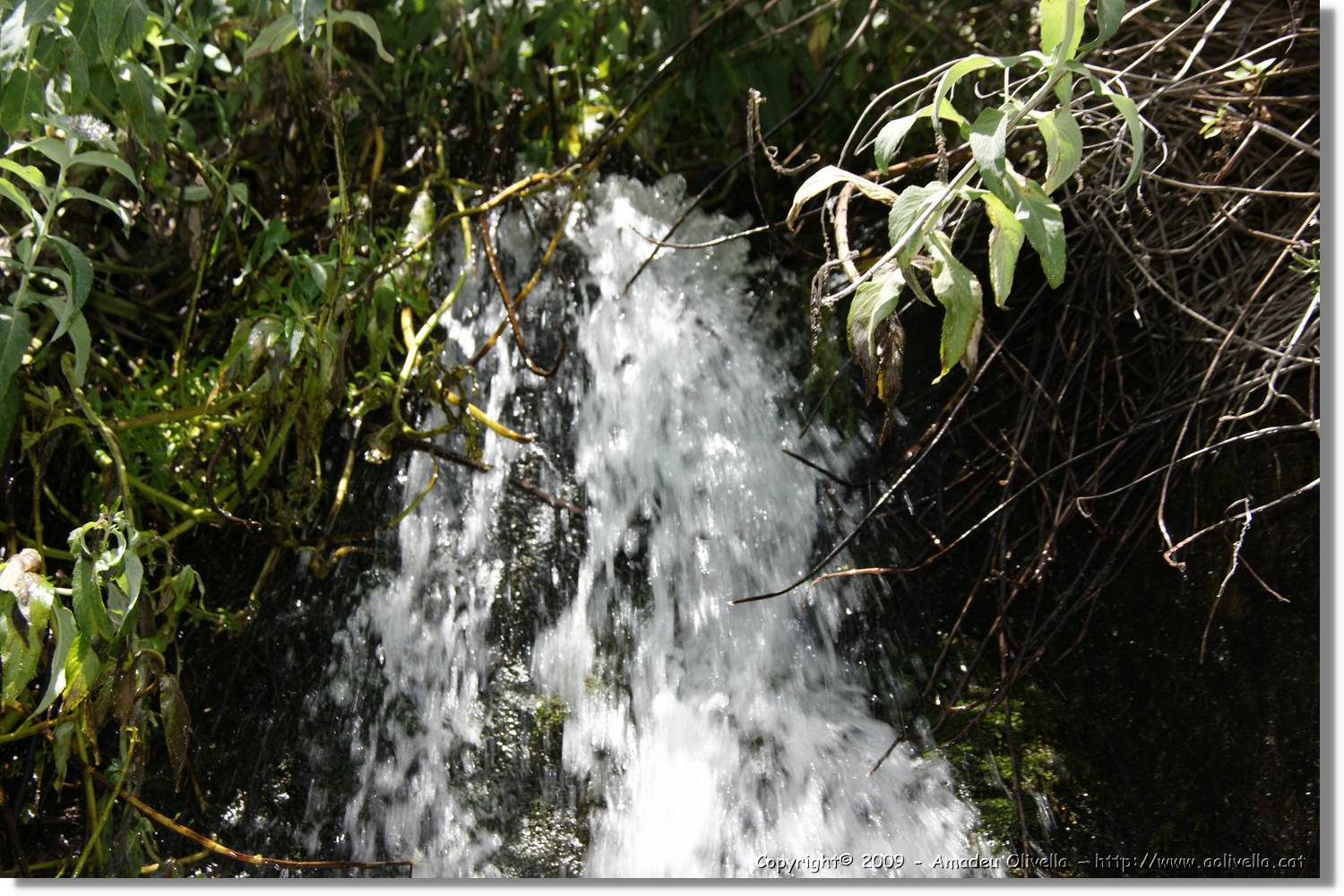 Nacientes_346.jpg