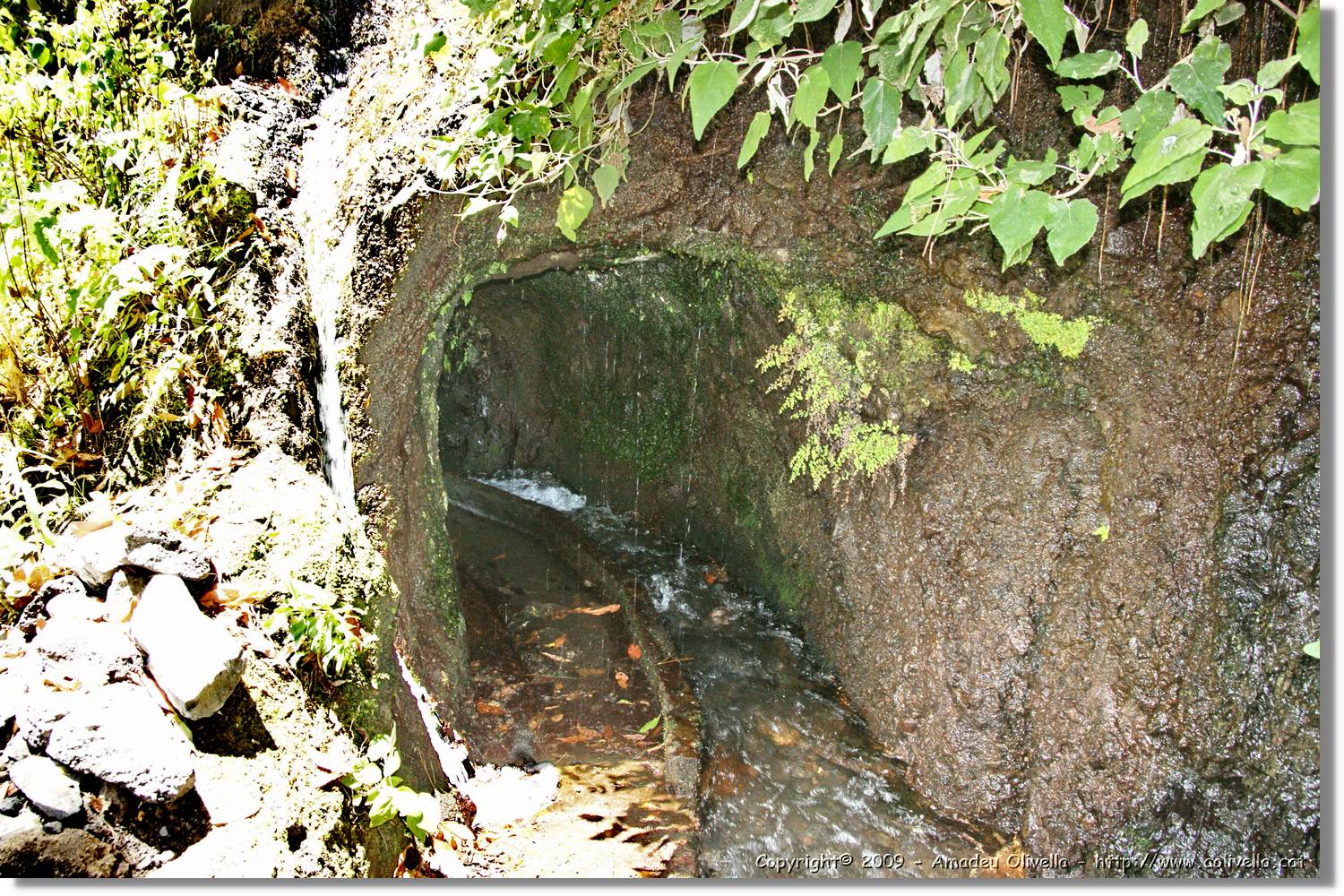 Nacientes_348.jpg