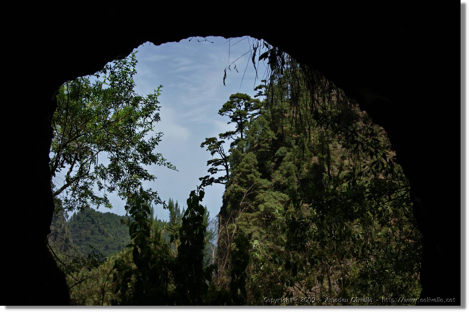 Nacientes_380.jpg