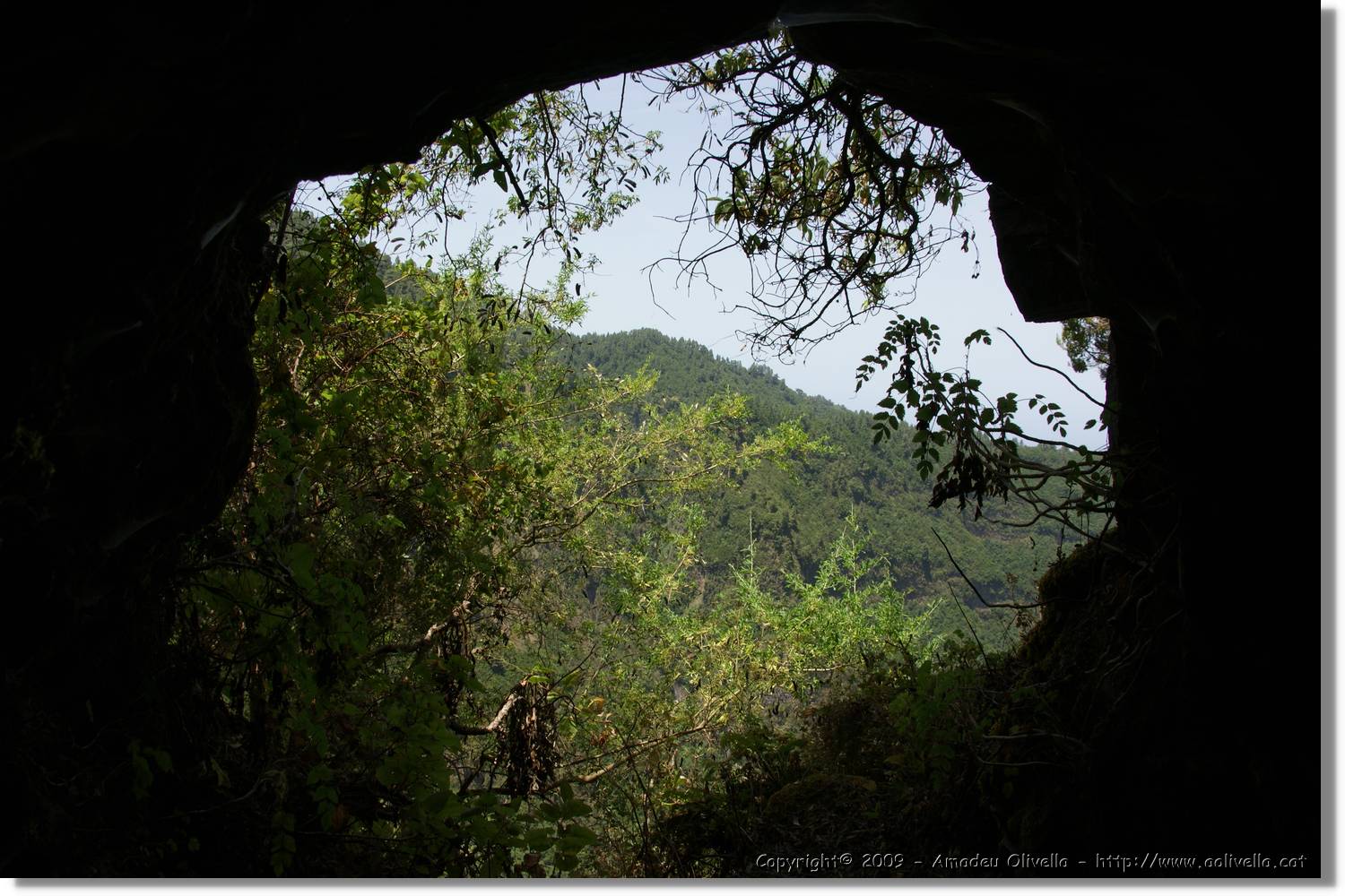 Nacientes_393.jpg