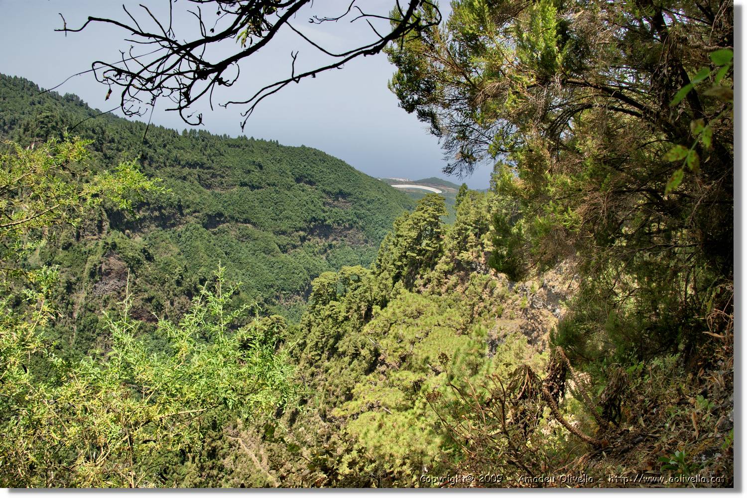 Nacientes_394.jpg