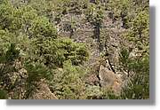 Nacientes_065.jpg