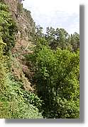 Nacientes_075.jpg
