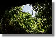 Nacientes_084.jpg