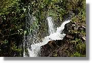 Nacientes_103.jpg