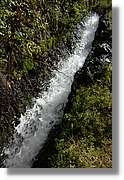 Nacientes_109.jpg