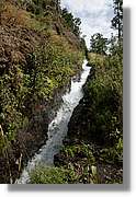 Nacientes_110.jpg