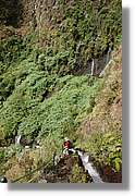 Nacientes_111.jpg