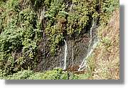 Nacientes_112.jpg