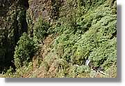 Nacientes_113.jpg