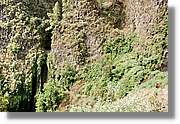 Nacientes_114.jpg