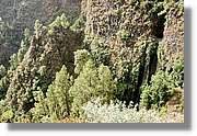 Nacientes_115.jpg