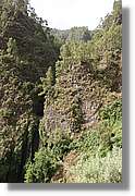 Nacientes_116.jpg
