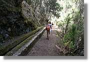 Nacientes_117.jpg