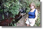 Nacientes_119.jpg