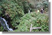 Nacientes_126.jpg