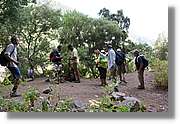 Nacientes_129.jpg