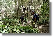 Nacientes_132.jpg
