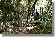 Nacientes_135.jpg