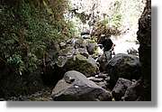 Nacientes_145.jpg