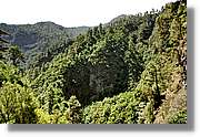 Nacientes_154.jpg