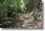 Nacientes_157.jpg