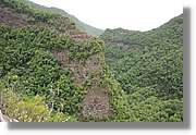 Nacientes_195.jpg